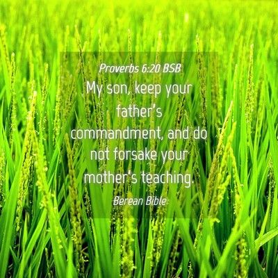Picture 04 - Proverbs 6:20 BSB - My son, keep your father’s commandment, and do - Bible Verse Picture