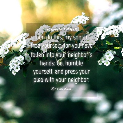 Picture 04 - Proverbs 6:3 BSB - then do this, my son, to free yourself, for you - Bible Verse Picture