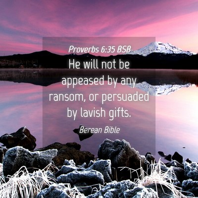 Picture 04 - Proverbs 6:35 BSB - He will not be appeased by any ransom, or - Bible Verse Picture