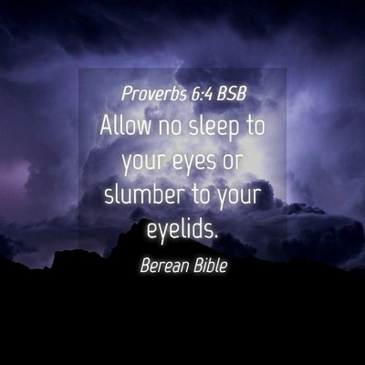 Picture 04 - Proverbs 6:4 BSB - Allow no sleep to your eyes or slumber to your - Bible Verse Picture