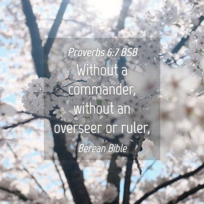 Picture 04 - Proverbs 6:7 BSB - Without a commander, without an overseer or - Bible Verse Picture