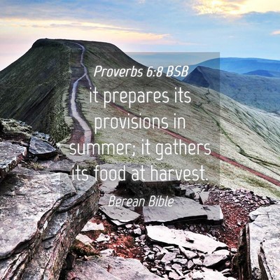 Picture 04 - Proverbs 6:8 BSB - it prepares its provisions in summer; it gathers - Bible Verse Picture