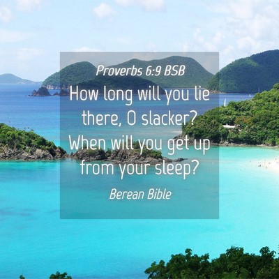Picture 04 - Proverbs 6:9 BSB - How long will you lie there, O slacker? When will - Bible Verse Picture