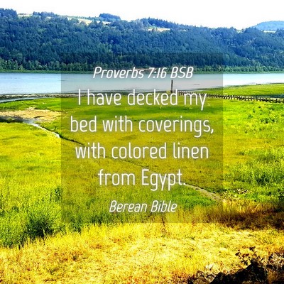Picture 04 - Proverbs 7:16 BSB - I have decked my bed with coverings, with colored - Bible Verse Picture