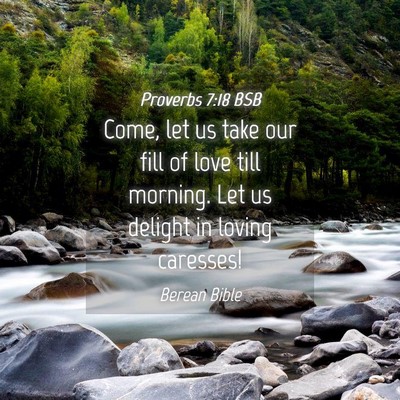 Picture 04 - Proverbs 7:18 BSB - Come, let us take our fill of love till morning. - Bible Verse Picture