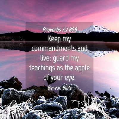 Picture 04 - Proverbs 7:2 BSB - Keep my commandments and live; guard my teachings - Bible Verse Picture