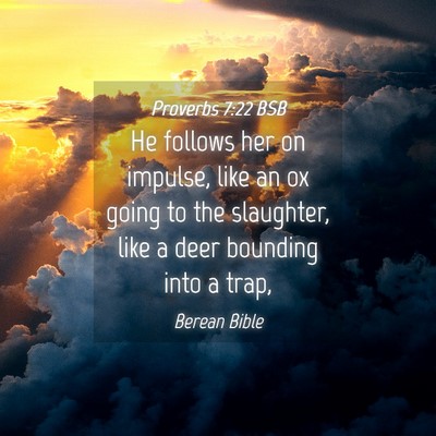 Picture 04 - Proverbs 7:22 BSB - He follows her on impulse, like an ox going to - Bible Verse Picture