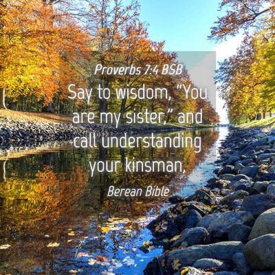 Picture 04 - Proverbs 7:4 BSB - Say to wisdom, “You are my sister,” and call - Bible Verse Picture