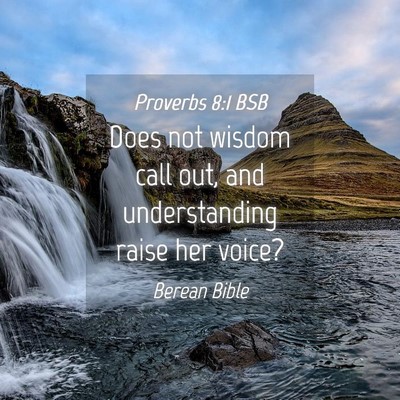 Picture 04 - Proverbs 8:1 BSB - Does not wisdom call out, and understanding raise - Bible Verse Picture