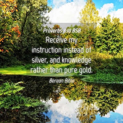Picture 04 - Proverbs 8:10 BSB - Receive my instruction instead of silver, and - Bible Verse Picture