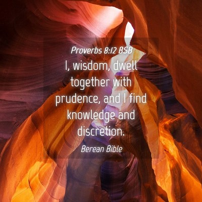 Picture 04 - Proverbs 8:12 BSB - I, wisdom, dwell together with prudence, and I - Bible Verse Picture