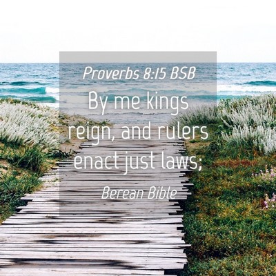 Picture 04 - Proverbs 8:15 BSB - By me kings reign, and rulers enact just - Bible Verse Picture