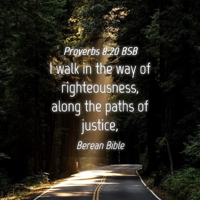 Picture 04 - Proverbs 8:20 BSB - I walk in the way of righteousness, along the - Bible Verse Picture