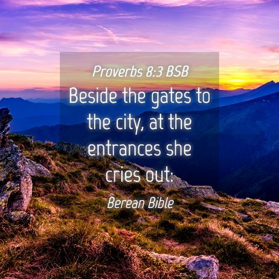 Picture 04 - Proverbs 8:3 BSB - Beside the gates to the city, at the entrances - Bible Verse Picture