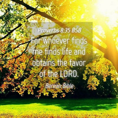 Picture 04 - Proverbs 8:35 BSB - For whoever finds me finds life and obtains the - Bible Verse Picture