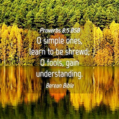 Picture 04 - Proverbs 8:5 BSB - O simple ones, learn to be shrewd; O fools, gain - Bible Verse Picture