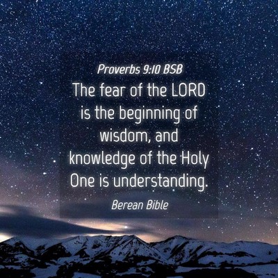 Picture 04 - Proverbs 9:10 BSB - The fear of the LORD is the beginning of wisdom, - Bible Verse Picture