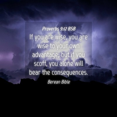 Picture 04 - Proverbs 9:12 BSB - If you are wise, you are wise to your own - Bible Verse Picture