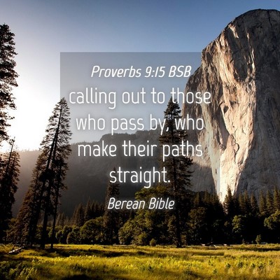 Picture 04 - Proverbs 9:15 BSB - calling out to those who pass by, who make their - Bible Verse Picture