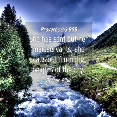 Picture 04 - Proverbs 9:3 BSB - She has sent out her maidservants; she calls out - Bible Verse Picture