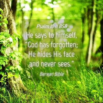 Picture 04 - Psalm 10:11 BSB - He says to himself, “God has forgotten; He - Bible Verse Picture