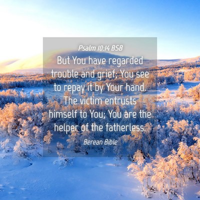Picture 04 - Psalm 10:14 BSB - But You have regarded trouble and grief; You see - Bible Verse Picture
