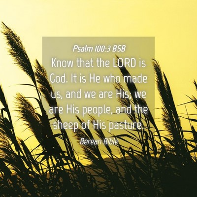 Picture 04 - Psalm 100:3 BSB - Know that the LORD is God. It is He who made us, - Bible Verse Picture