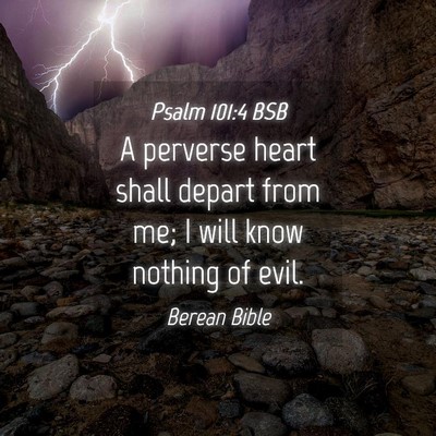 Picture 04 - Psalm 101:4 BSB - A perverse heart shall depart from me; I will - Bible Verse Picture