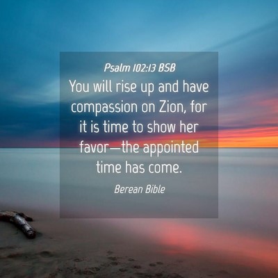 Picture 04 - Psalm 102:13 BSB - You will rise up and have compassion on Zion, for - Bible Verse Picture