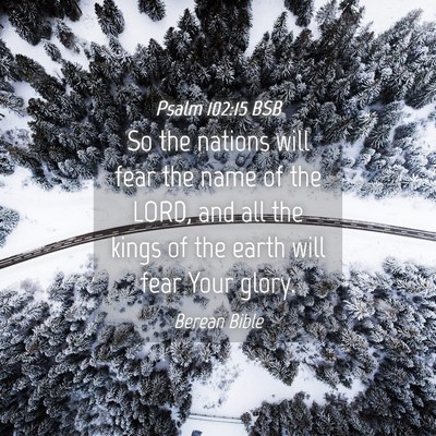 Picture 04 - Psalm 102:15 BSB - So the nations will fear the name of the LORD, - Bible Verse Picture