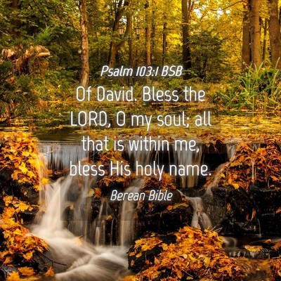 Picture 04 - Psalm 103:1 BSB - Of David. Bless the LORD, O my soul; all that is - Bible Verse Picture