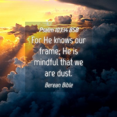 Picture 04 - Psalm 103:14 BSB - For He knows our frame; He is mindful that we are - Bible Verse Picture
