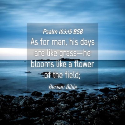 Picture 04 - Psalm 103:15 BSB - As for man, his days are like grass—he blooms - Bible Verse Picture