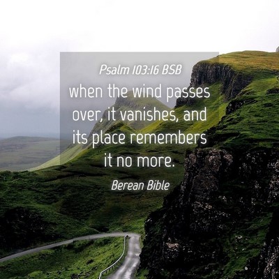 Picture 04 - Psalm 103:16 BSB - when the wind passes over, it vanishes, and its - Bible Verse Picture