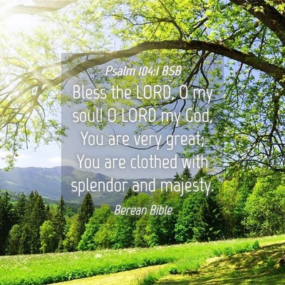 Picture 04 - Psalm 104:1 BSB - Bless the LORD, O my soul! O LORD my God, You are - Bible Verse Picture