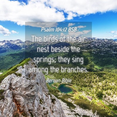 Picture 04 - Psalm 104:12 BSB - The birds of the air nest beside the springs; - Bible Verse Picture