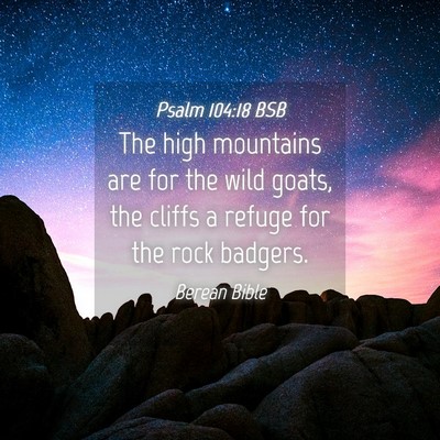 Picture 04 - Psalm 104:18 BSB - The high mountains are for the wild goats, the - Bible Verse Picture