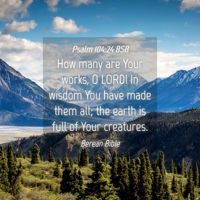 Picture 04 - Psalm 104:24 BSB - How many are Your works, O LORD! In wisdom You - Bible Verse Picture