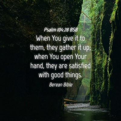 Picture 04 - Psalm 104:28 BSB - When You give it to them, they gather it up; when - Bible Verse Picture