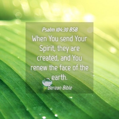 Picture 04 - Psalm 104:30 BSB - When You send Your Spirit, they are created, and - Bible Verse Picture