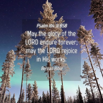Picture 04 - Psalm 104:31 BSB - May the glory of the LORD endure forever; may the - Bible Verse Picture