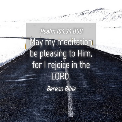 Picture 04 - Psalm 104:34 BSB - May my meditation be pleasing to Him, for I - Bible Verse Picture