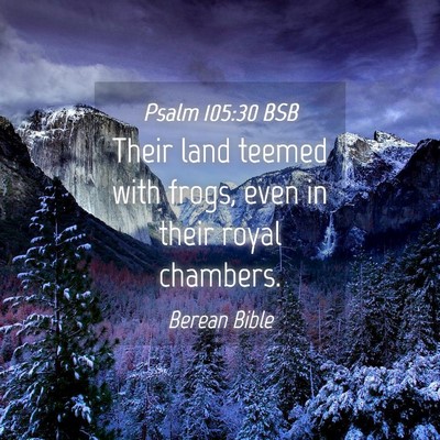 Picture 04 - Psalm 105:30 BSB - Their land teemed with frogs, even in their royal - Bible Verse Picture