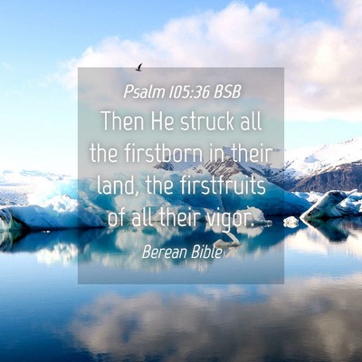 Picture 04 - Psalm 105:36 BSB - Then He struck all the firstborn in their land, - Bible Verse Picture