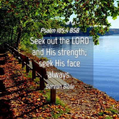 Picture 04 - Psalm 105:4 BSB - Seek out the LORD and His strength; seek His face - Bible Verse Picture