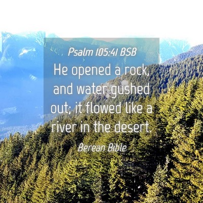 Picture 04 - Psalm 105:41 BSB - He opened a rock, and water gushed out; it flowed - Bible Verse Picture