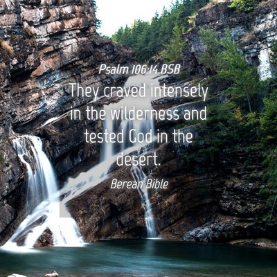 Picture 04 - Psalm 106:14 BSB - They craved intensely in the wilderness and - Bible Verse Picture