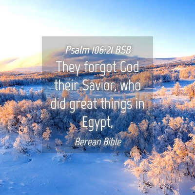 Picture 04 - Psalm 106:21 BSB - They forgot God their Savior, who did great - Bible Verse Picture