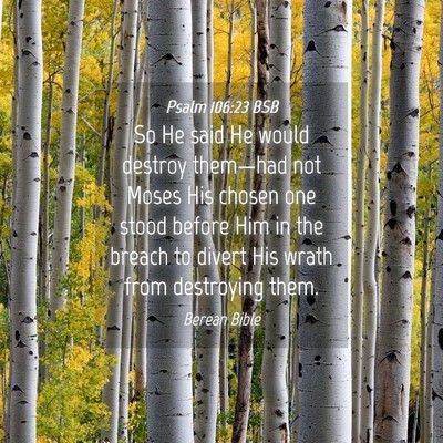 Picture 04 - Psalm 106:23 BSB - So He said He would destroy them—had not Moses - Bible Verse Picture