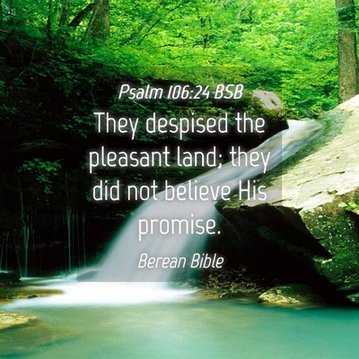 Picture 04 - Psalm 106:24 BSB - They despised the pleasant land; they did not - Bible Verse Picture